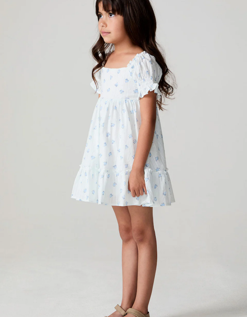 Saltwater Luxe Kids Allima Mini Dress in White w/ Blue Floral
