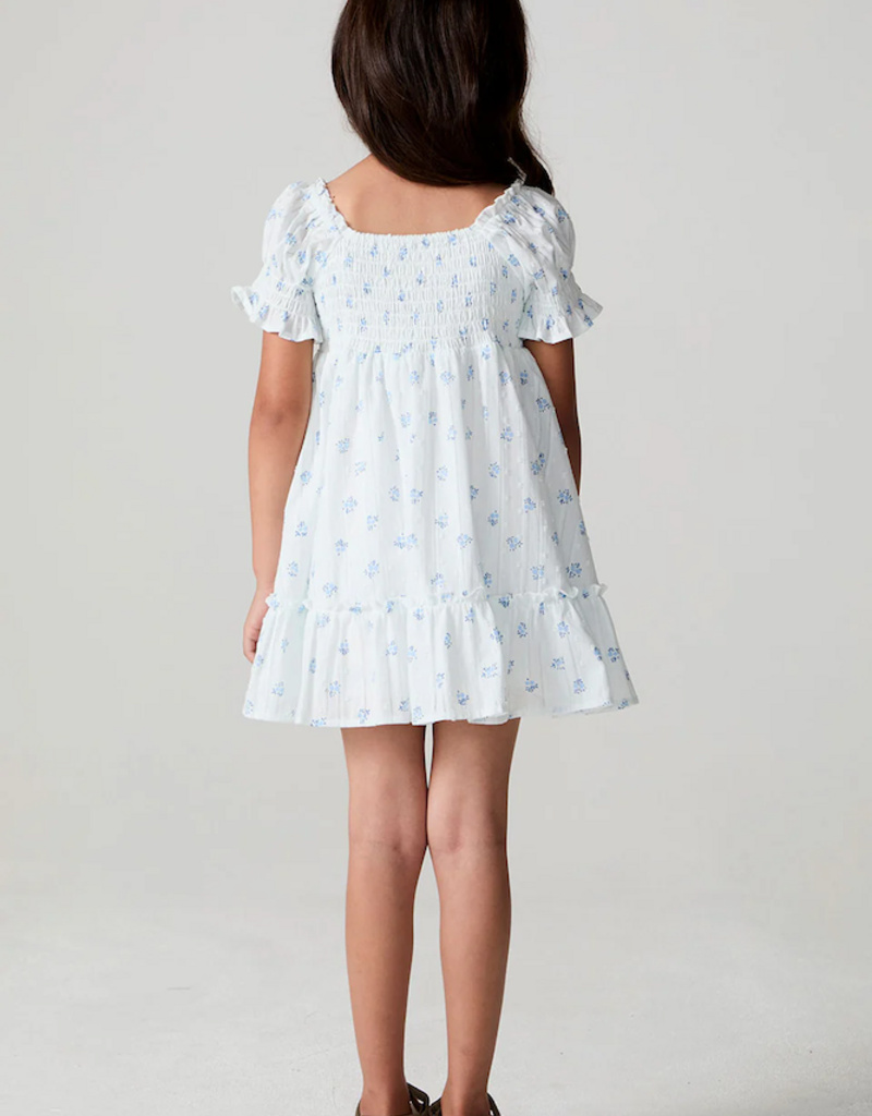 Saltwater Luxe Kids Allima Mini Dress in White w/ Blue Floral