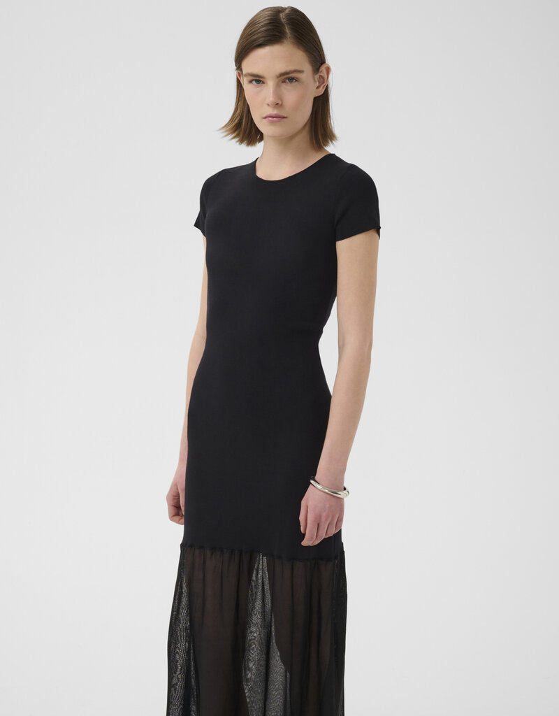InWear Dima Drop Waist Dress with Sheer Skirt in Black