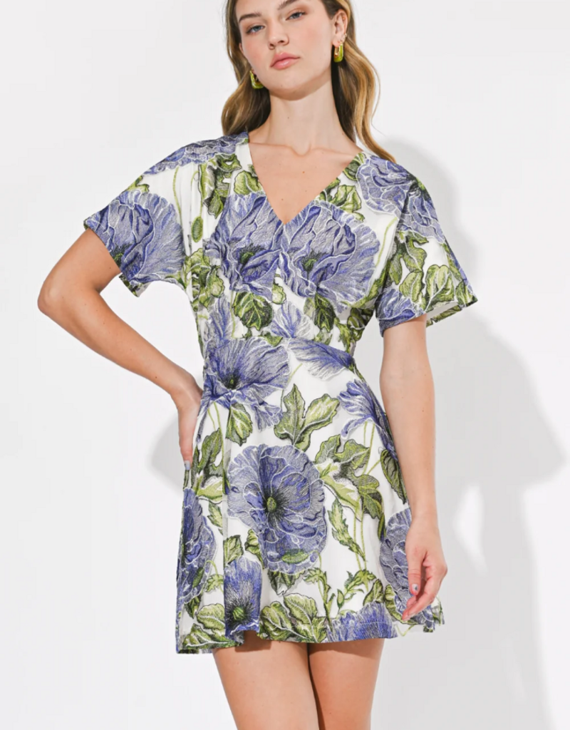 Adelyn Rae Cynthia Short Sleeve Embroidered Mini Dress in Blue Multi Floral