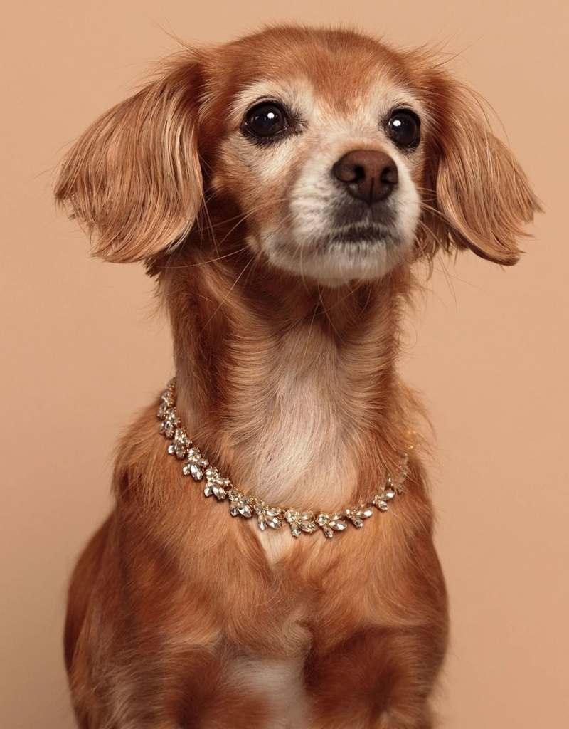 Olive & Piper Mini Lucy Necklace