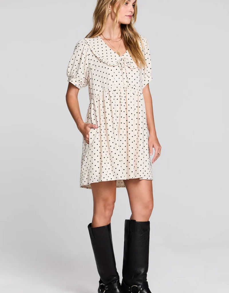 Saltwater Luxe Nicko Polka Dot Mini Dress