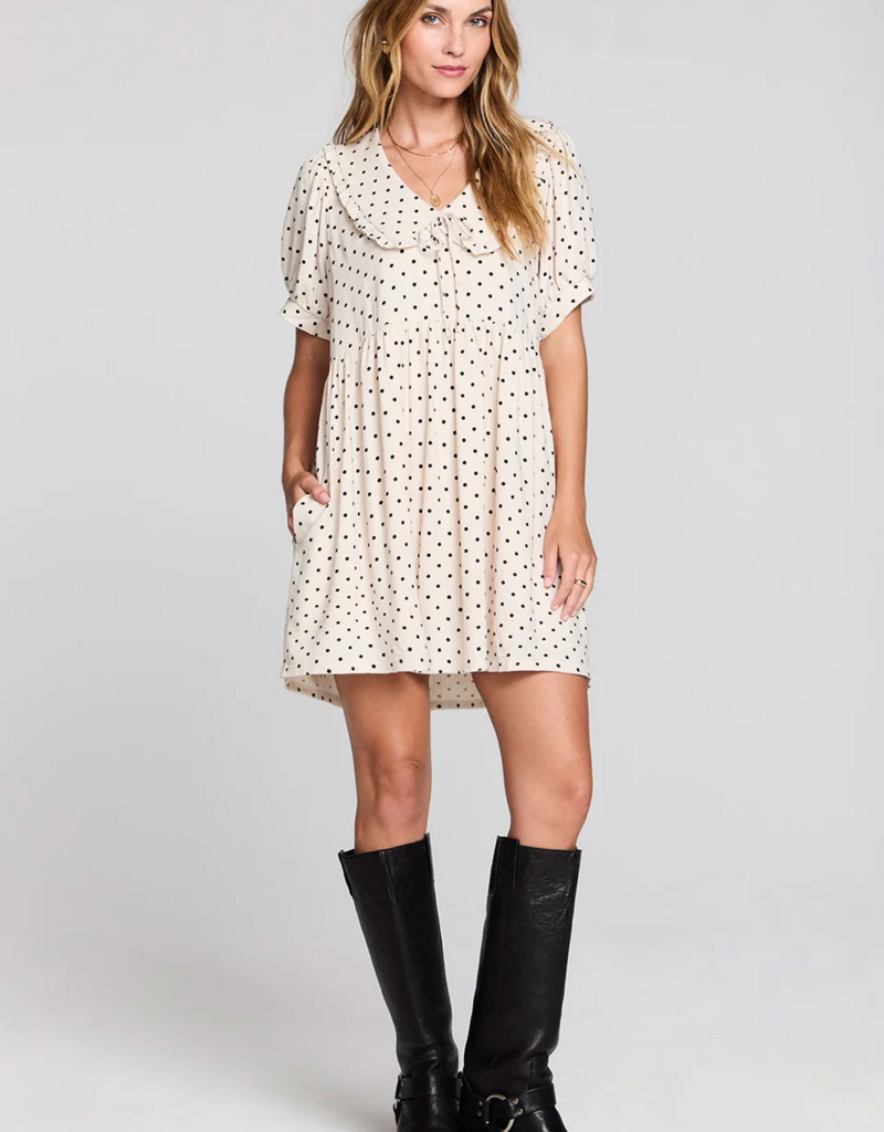 Saltwater Luxe Nicko Polka Dot Mini Dress