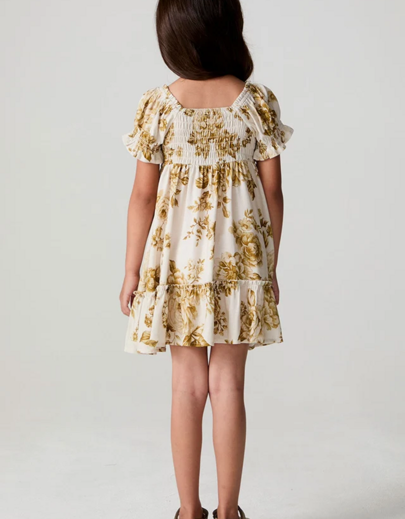 Saltwater Luxe Kids Allima Mini Dress in Fawn Floral