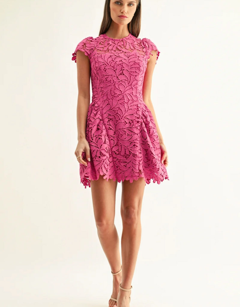Adelyn Rae Cres Cap Sleeve Lace Mini Dress In Berry Pink