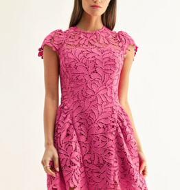 Adelyn Rae Cres Cap Sleeve Lace Mini Dress
