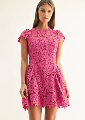 Adelyn Rae Cres Cap Sleeve Lace Mini Dress