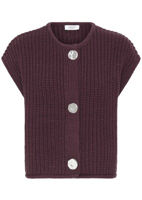 B.Young Norma Button Slipover in Fig