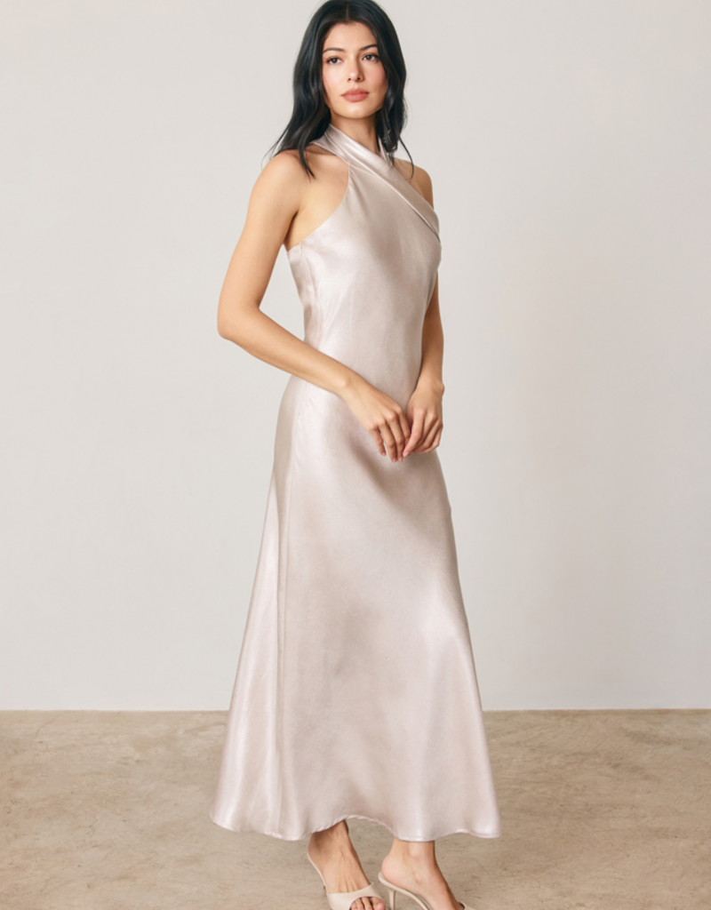 Dress Forum Talli Maxi Halter Dress in Silverlight