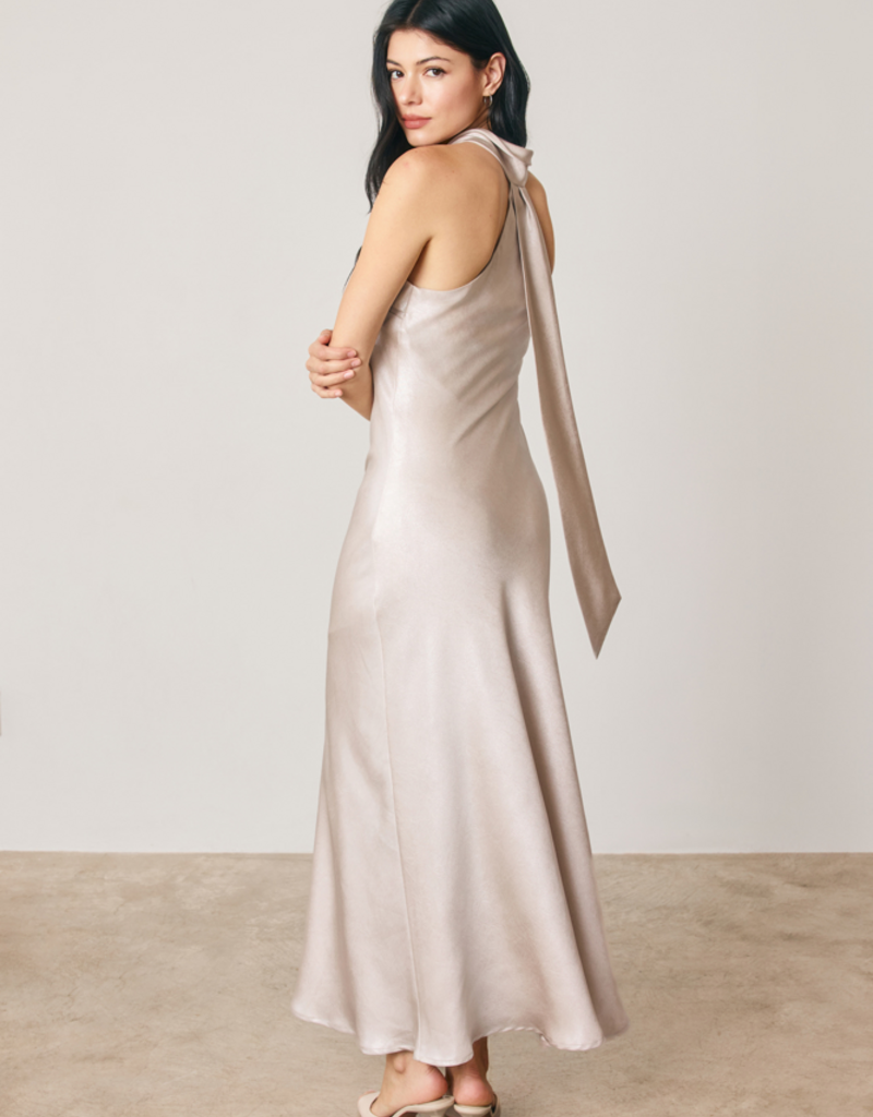 Dress Forum Talli Maxi Halter Dress in Silverlight