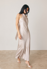 Dress Forum Talli Maxi Halter Dress in Silverlight