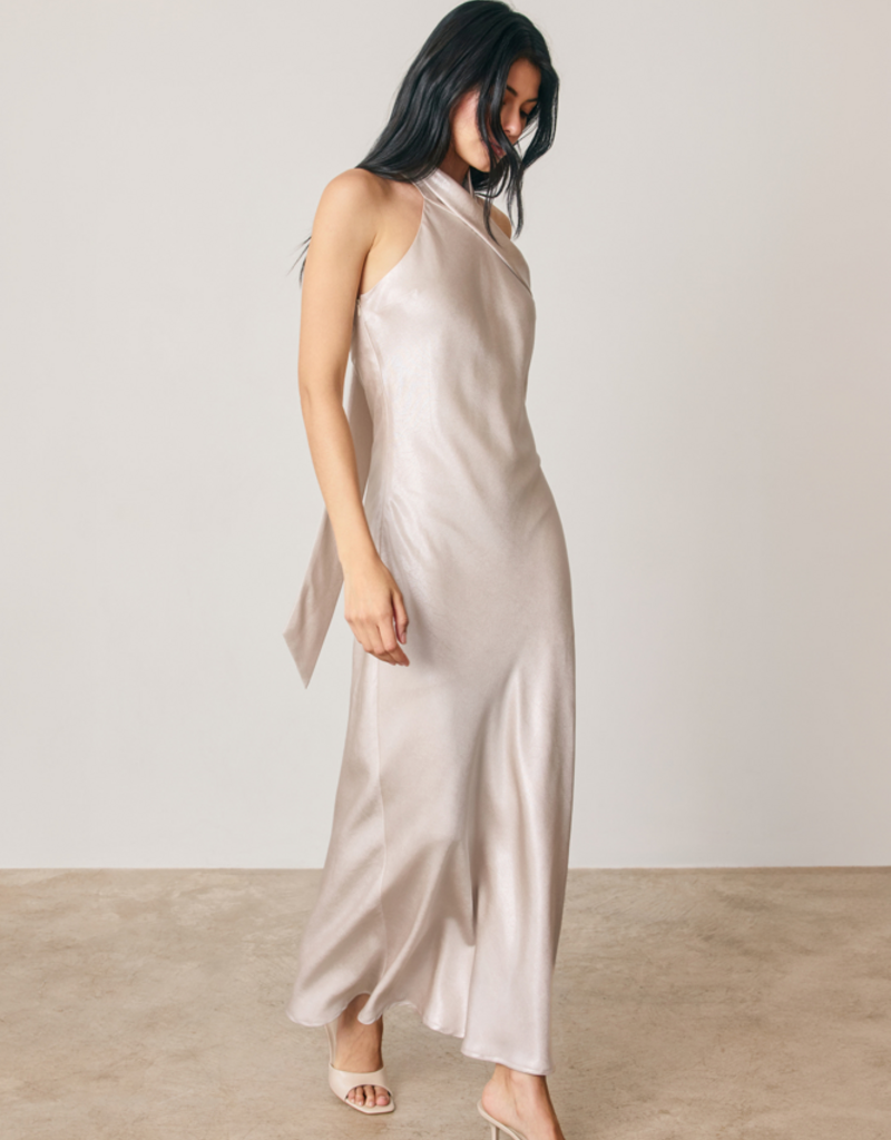 Dress Forum Talli Maxi Halter Dress in Silverlight