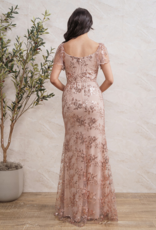 Soieblu Briar Maxi Flutter Sleeve Dress with Sequin Details in Dusty Rose