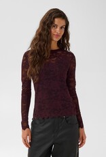 Cream Pitia Lace Blouse
