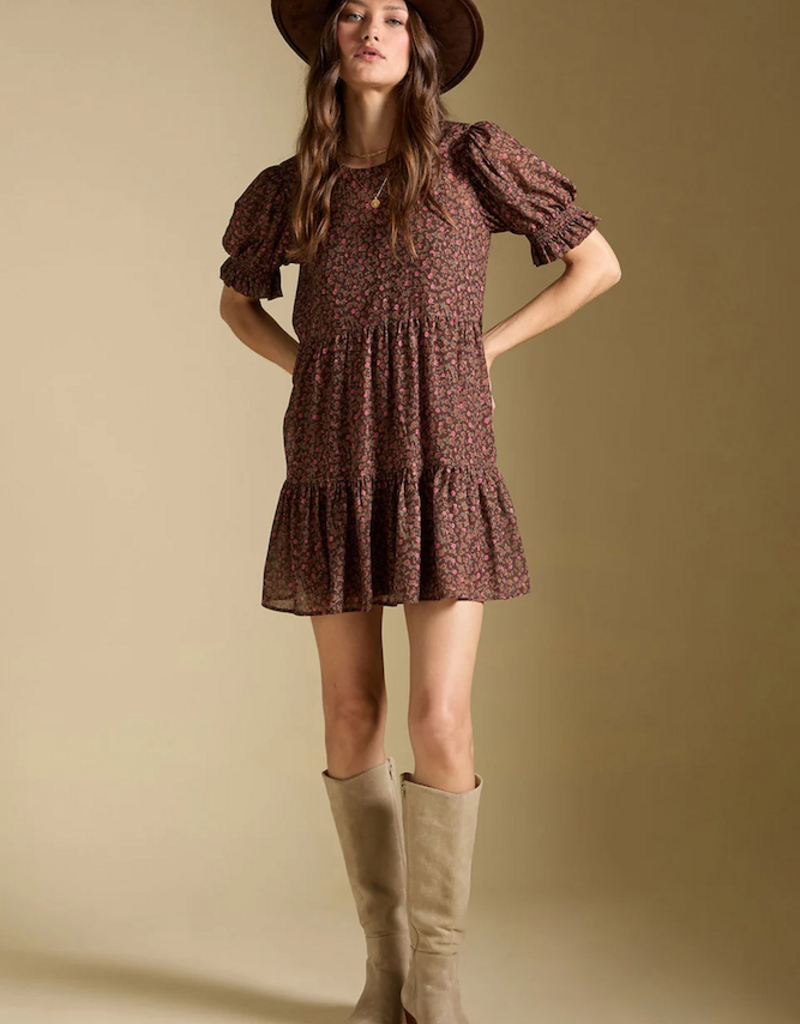 Saltwater Luxe Ginna Puff Sleeve Mini Dress in Mocha
