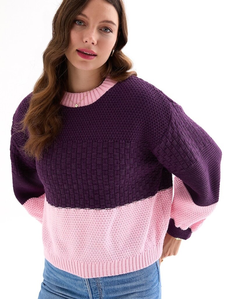 Cara and the Sky Taz Block Colour Jumper in Purple