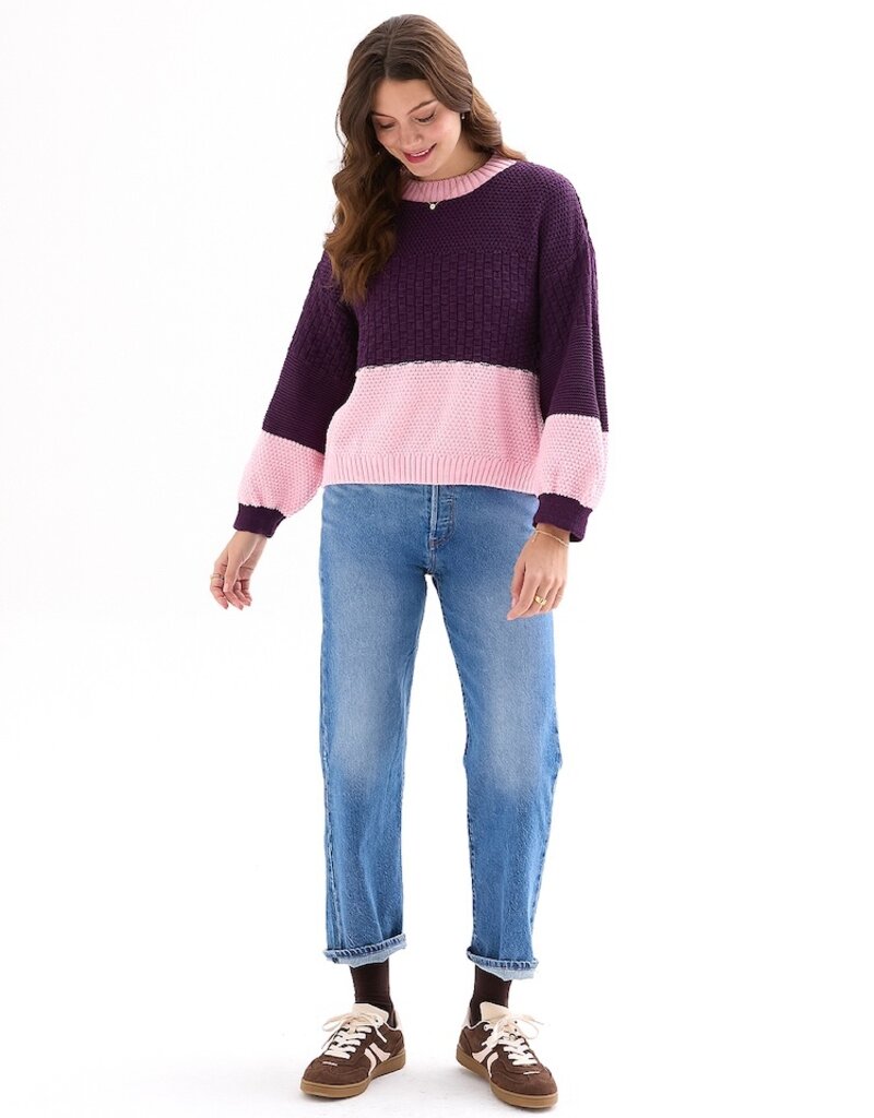 Cara and the Sky Taz Block Colour Jumper in Purple