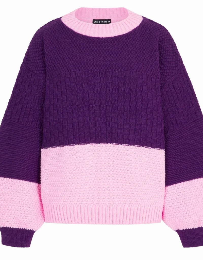Cara and the Sky Taz Block Colour Jumper in Purple