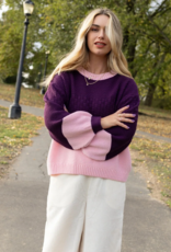 Cara and the Sky Taz Block Colour Jumper in Purple
