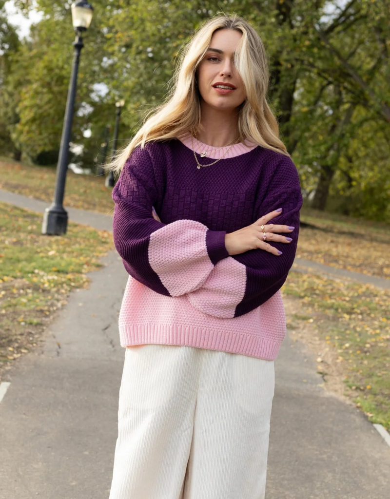Cara and the Sky Taz Block Colour Jumper in Purple