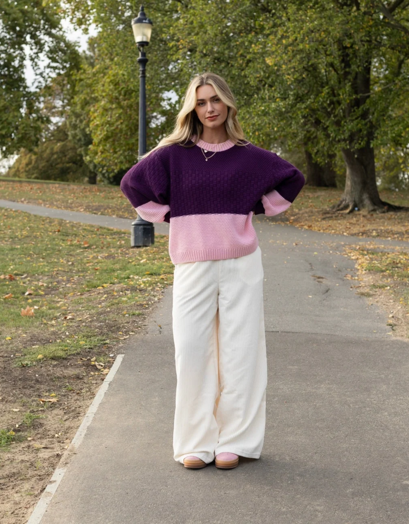 Cara and the Sky Taz Block Colour Jumper in Purple