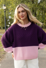 Cara and the Sky Taz Block Colour Jumper in Purple