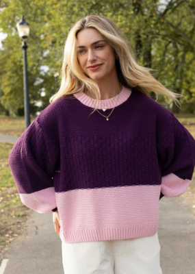 Cara and the Sky Taz Block Colour Jumper in Purple