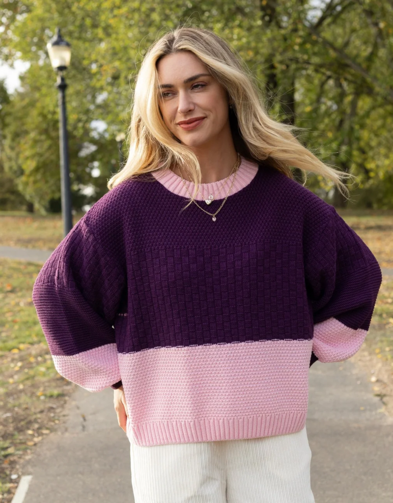 Cara and the Sky Taz Block Colour Jumper in Purple