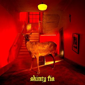 Fontaines D.C. - Skinty Fia (Limited Deluxe Edition - 2LP) [NEUF]