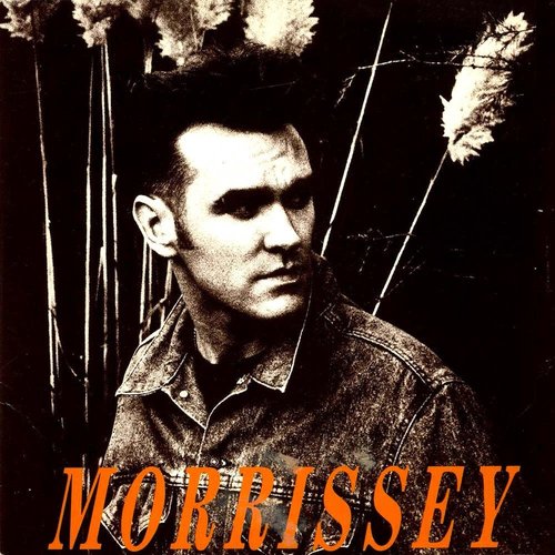 Morrissey - November Spawned A Monster (12")[USAGÉ]