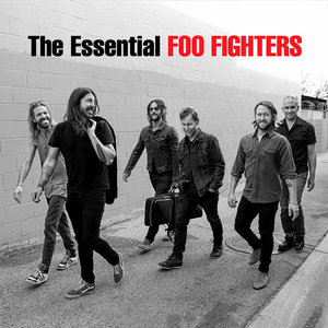 Foo Fighters - The Essential (2LP) [NEW]