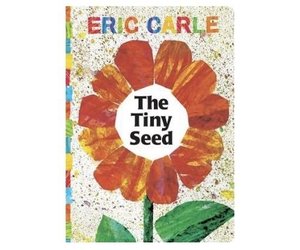 TINY SEED - Beyond The Rainbow