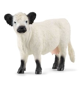 SCHLEICH GALLOWAY COW