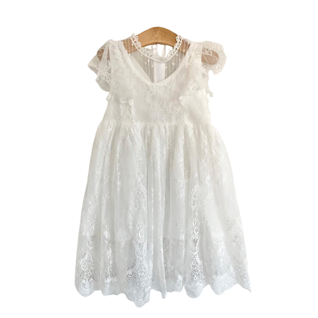 Soft Lace Flutter Sleeved Dress - Beyond The Rainbow