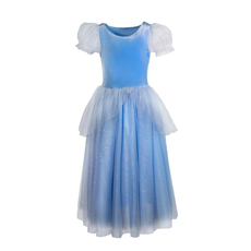 PRINCESS COSTUME DRESS - CINDERELLA