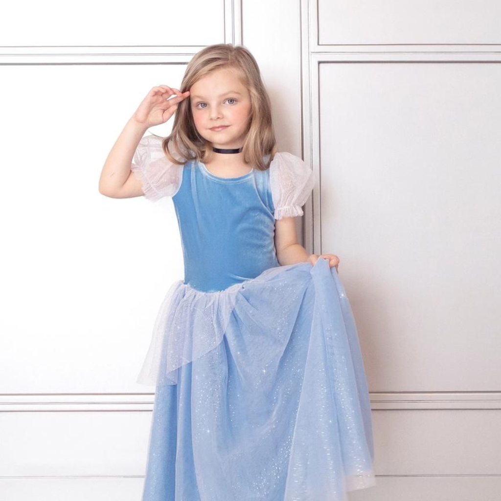 PRINCESS COSTUME DRESS - CINDERELLA