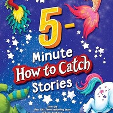 SOURCEBOOKS 5-MINUTE HOW TO CATCH STORIES