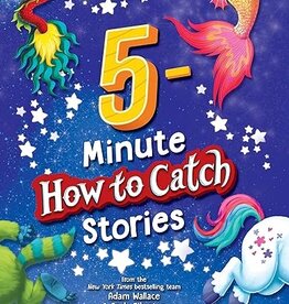 SOURCEBOOKS 5-MINUTE HOW TO CATCH STORIES