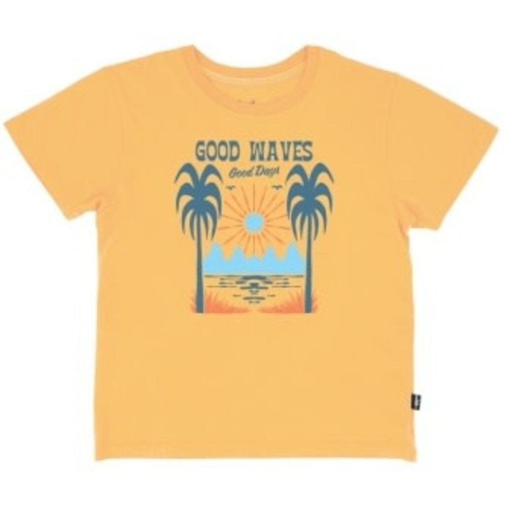 FEATHER 4 ARROW GOOD WAVES VINTAGE TEE