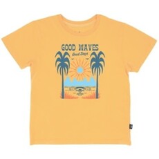 FEATHER 4 ARROW GOOD WAVES VINTAGE TEE