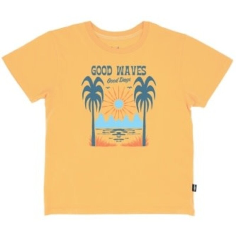 FEATHER 4 ARROW GOOD WAVES VINTAGE TEE