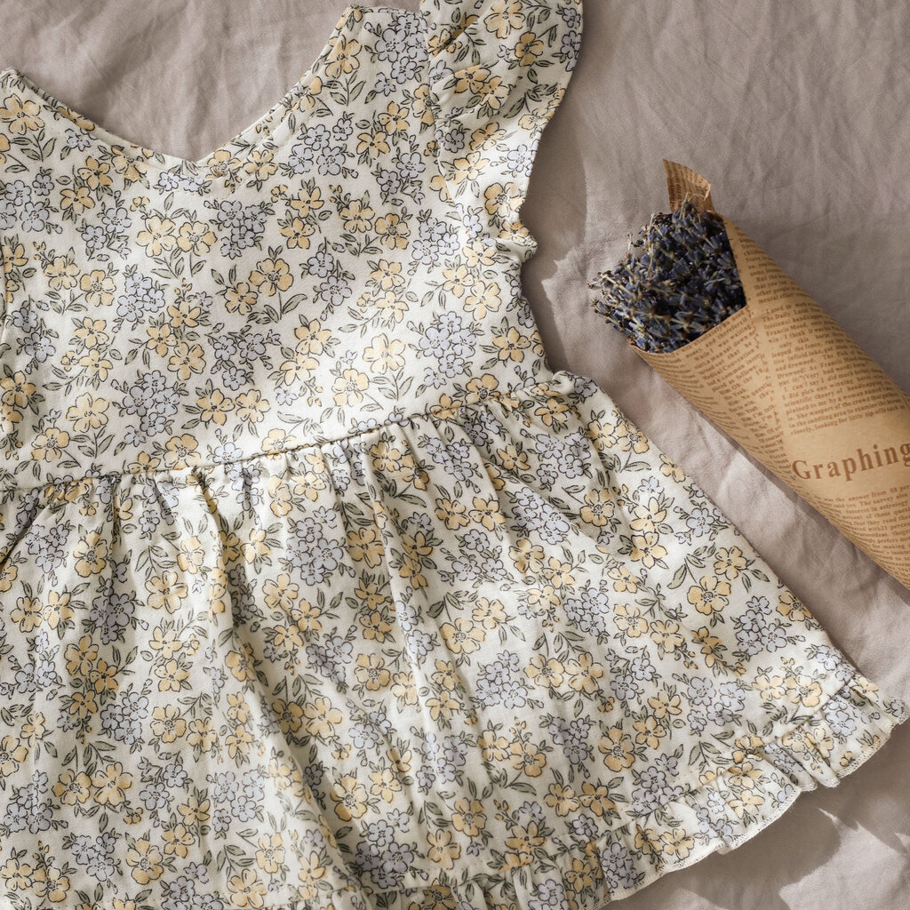 Rylee + Cru Inc. BABYDOLL DRESS || BLUE DITSY
