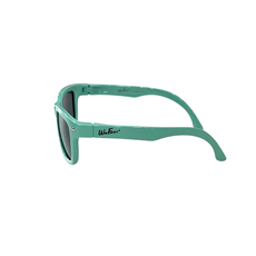 WEESTYLE POLARIZED WEEFARERS