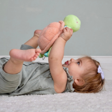 MARY MEYER TAGGIES TIPPY TURTLE SOFT TOY