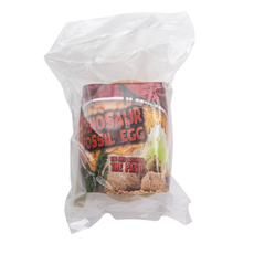 TOY NETWORK 3" DINOSAUR FOSSIL EGG