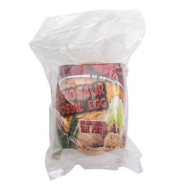 TOY NETWORK 3" DINOSAUR FOSSIL EGG
