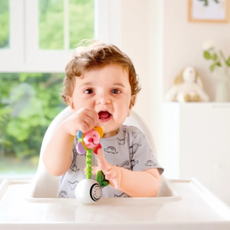 HAPE SHAKE N SPARKLE FLOWER RATTLE