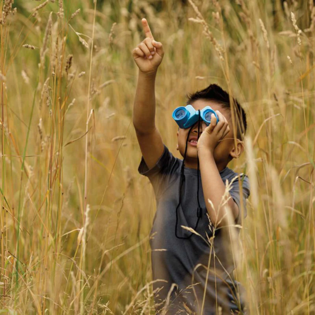 TOYSMITH FOLDING BINOCULAR