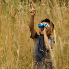 TOYSMITH FOLDING BINOCULAR