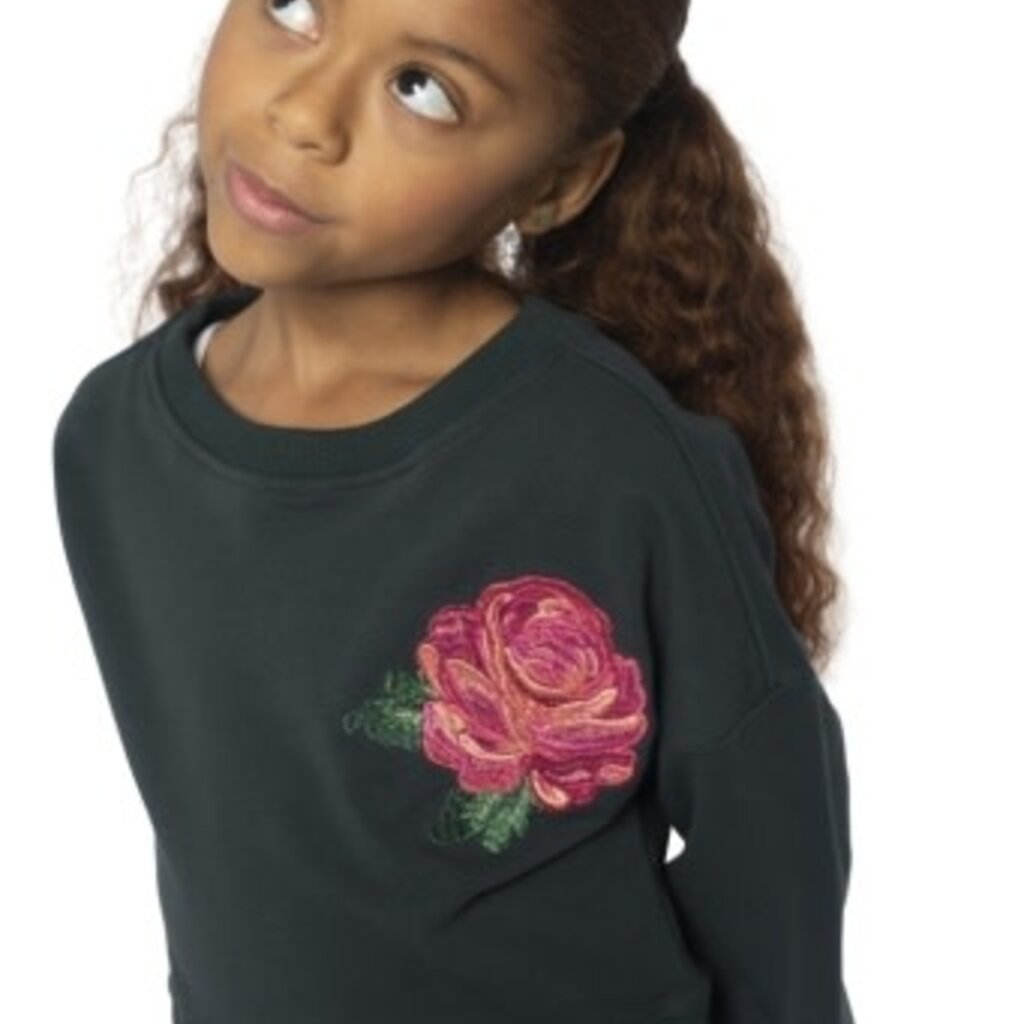 Appaman lisa cropped sweatshirt